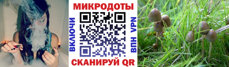 Псилоцибиновые грибы мухоморы Октябрьский